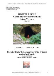 Memoire grotte roche-Seb Chantepie.pdf - snpsc