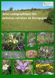 Atlas cartographique des pelouses calcaires de Bourgogne