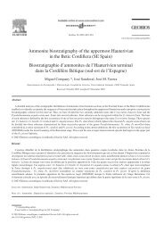 Ammonite biostratigraphy of the uppermost Hauterivian in the Betic ...