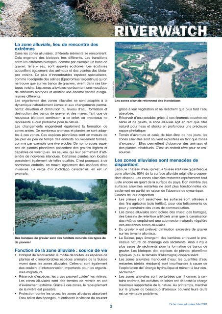 Biotope zone alluviale: la dynamique avant tout!