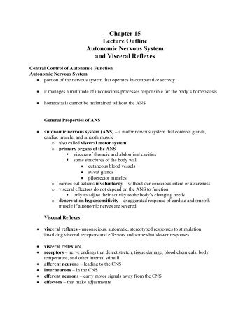 Chapter 15 Lecture Outline Autonomic Nervous System and Visceral ...