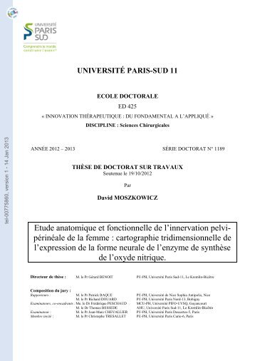 Etude anatomique et fonctionnelle de l'innervation pelvipérinéale de ...