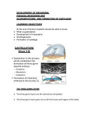 DEVELOPMENT OF MESODERM,