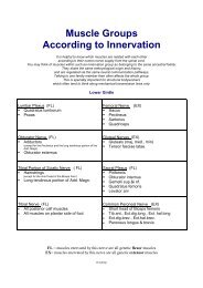 Muscle Groups According to Innervation