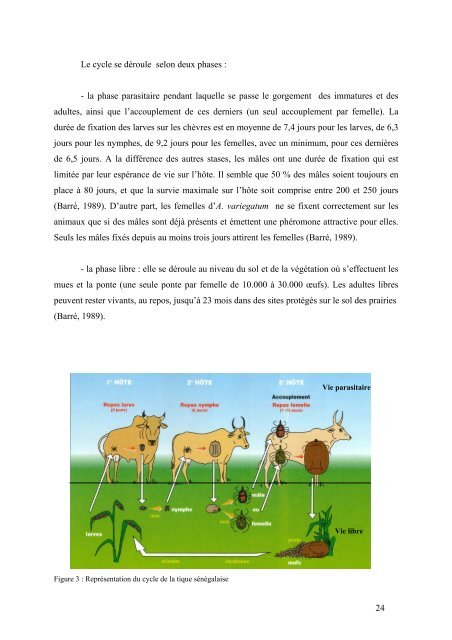 généralité sur la tique sénégalaise et son environnement