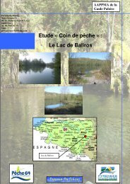 Etude « Coin de pêche » : Le Lac de Baliros