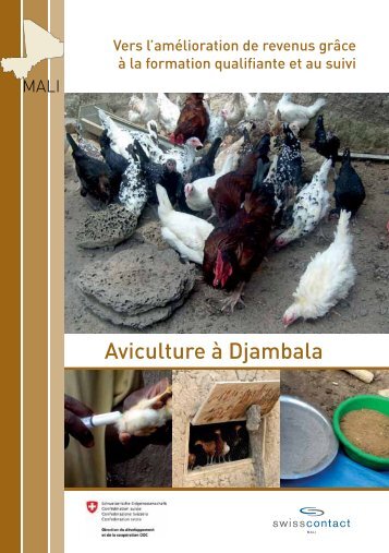 Aviculture à Djambala - swisscontact mali