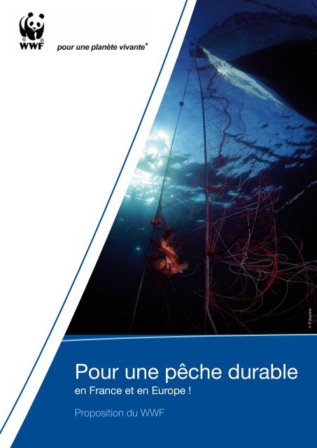 Pour une pêche durable - WWF France