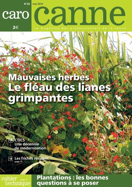 d'eRcane) reviennent aux agriculteurs soit 11,05 ... - Canne Progrès