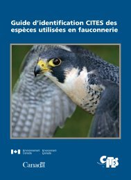 Guide d'identification CITES des espèces utilisées en fauconnerie