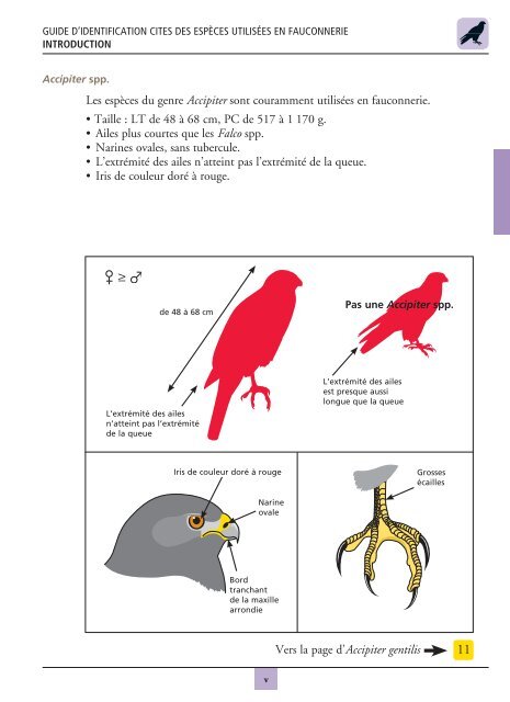 Guide d'identification CITES des espèces utilisées en fauconnerie