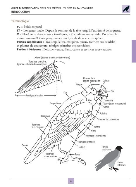 Guide d'identification CITES des espèces utilisées en fauconnerie