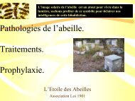 Pathologies de l'Abeille