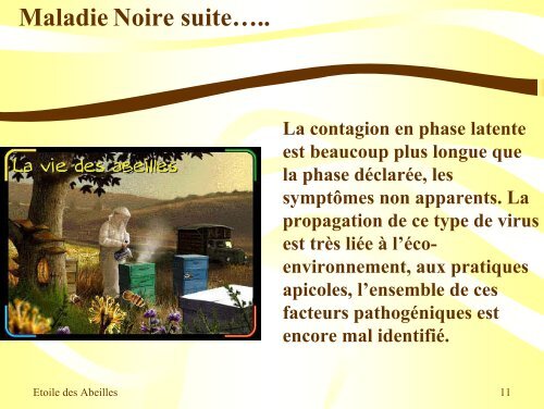 Pathologies de l'Abeille