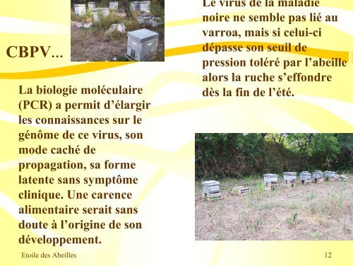 Pathologies de l'Abeille