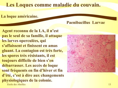 Pathologies de l'Abeille