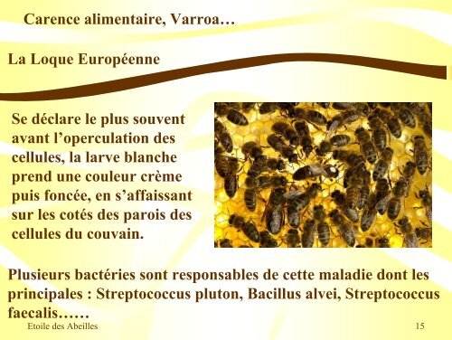 Pathologies de l'Abeille