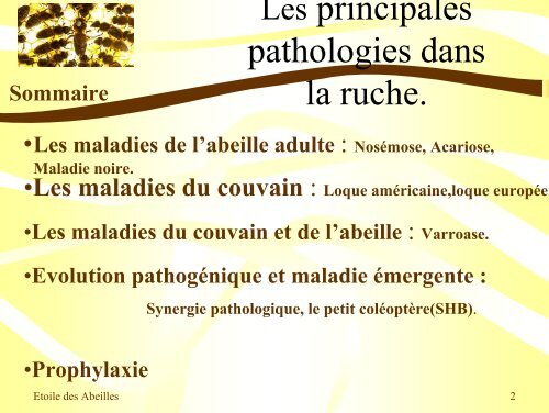 Pathologies de l'Abeille