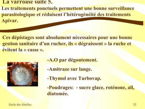 Pathologies de l'Abeille