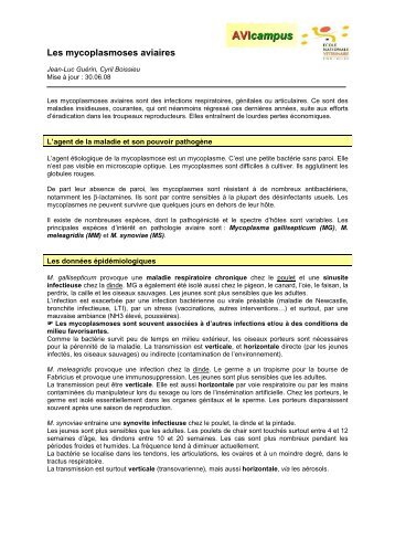 Voir la fiche - Avicampus