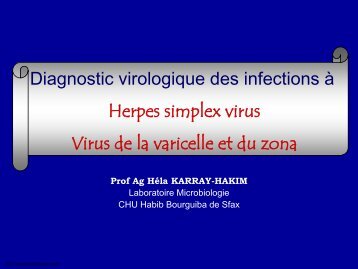 Diagnostic virologique des infections à HSV - VZV