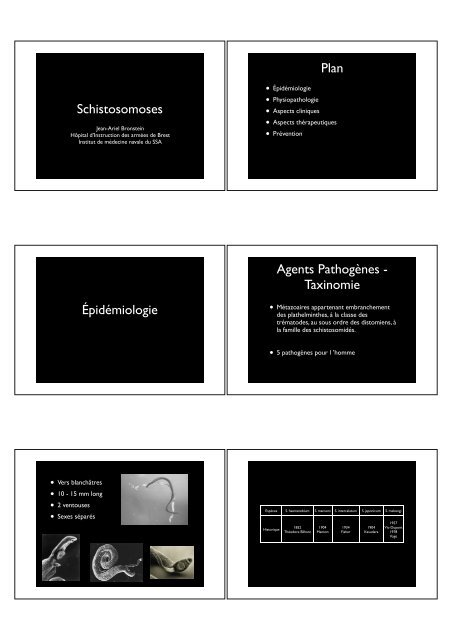 Bilharzioses ou Schistosomoses_Pr Bronstein.pdf