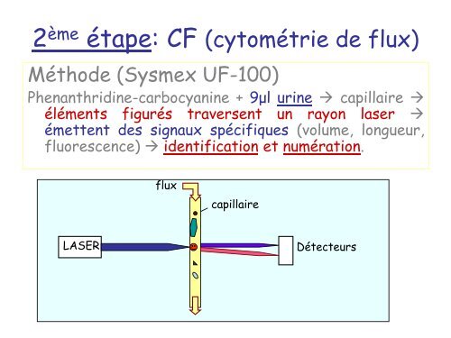 Analyses d'urines