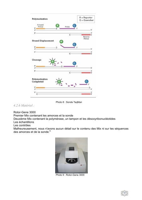 Comparaison de trois méthodes pour la détection de Mycoplasma et ...