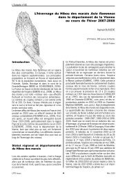 L'hivernage du Hibou des marais Asio flammeus dans le ...