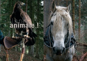 Débardeur au cheval, dresseur-fauconnier, éducateur de ... - sujetlibre