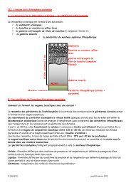 sédiments océaniques ; basaltes en coussins ou pillow-lavas ...