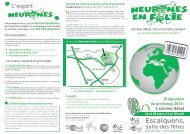 Neurones en folie - Sicoval