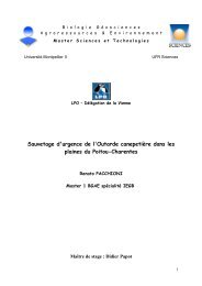 Sauvetage d'urgence de l'Outarde canepetière dans les plaines du ...