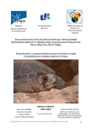 Mayotte_Tortues Marines_MathieuPINAULT_2003.pdf
