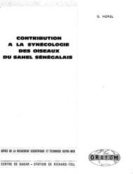 le crochet vers le haut de réverbération IGN