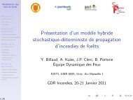 Présentation d'un modéle hybride stochastique-déterministe de ...