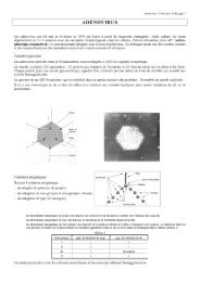 Adenovirus - polycopié - Cours de Anne Decoster