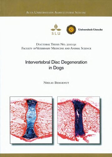 Intervertebral Disc Degeneration in Dogs - BioMedical Materials ...