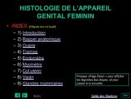 HISTOLOGIE DE L'APPAREIL GENITAL FEMININ - epathologies