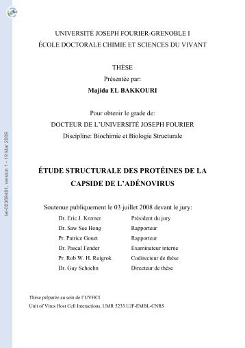 ÉTUDE STRUCTURALE DES PROTÉINES DE LA CAPSIDE DE L ...