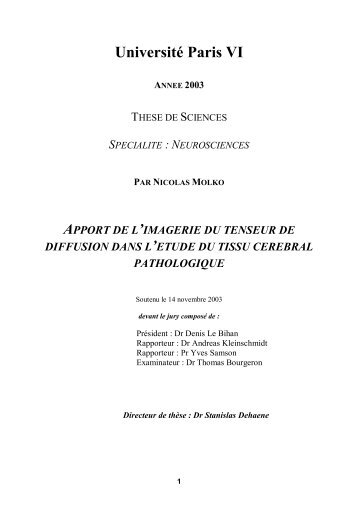 Université Paris VI - INSERM-CEA Cognitive Neuroimaging Unit