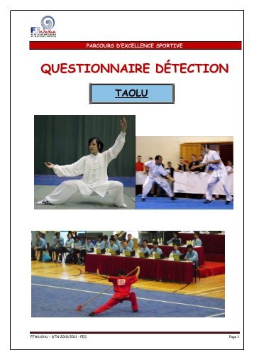 Questionnaire Détection Taolu