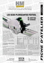 Scies circulaires plongeantes TS 55 et TS 75 Festool ... - HM diffusion