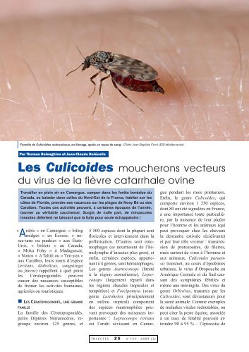 Les Culicoides et la fièvre catarrhale ovine / Insectes n° 154