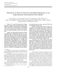 Alteration of sensory neurons and spinal response to an ...