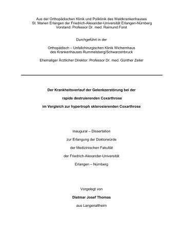 Dokument 1.pdf - Opus - Friedrich-Alexander-Universität Erlangen ...