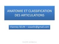 anatomie et classification des articulations - cesabphiver2013