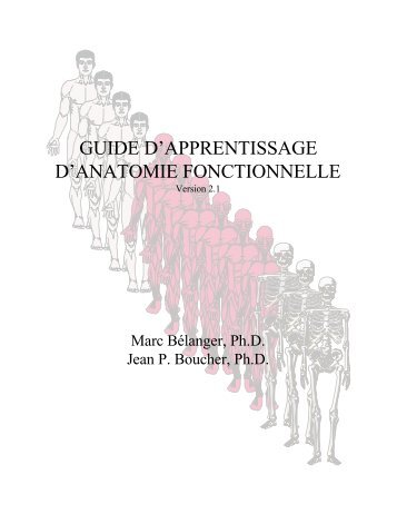 Guide d'apprentissage d'anatomie fonctionnelle (Version 1.0)\Guide ...