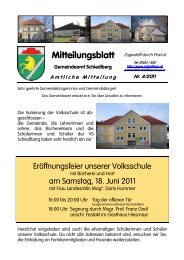 Ausgabe 4/2011 - Schiedlberg