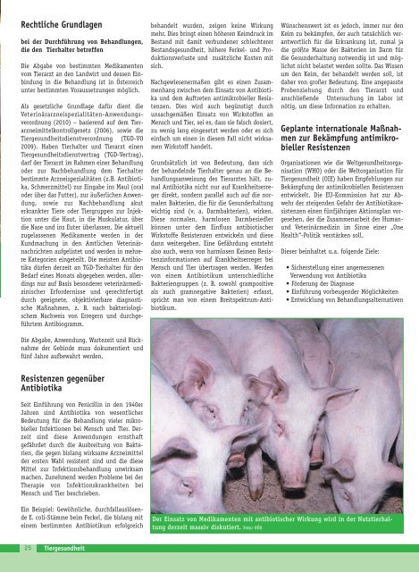 EuroTier 2012 - Schweine.at